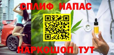 прущие грибы Дубна