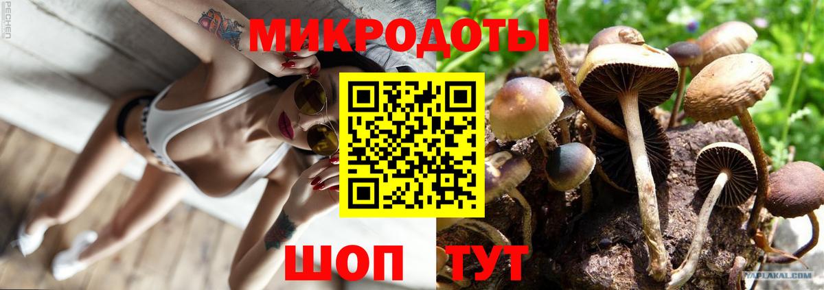 Псилоцибиновые грибы Magic Shrooms  Галлюциногенные грибы GOLDEN TEACHER  Миасс  где купить наркоту  Вход с VPN 