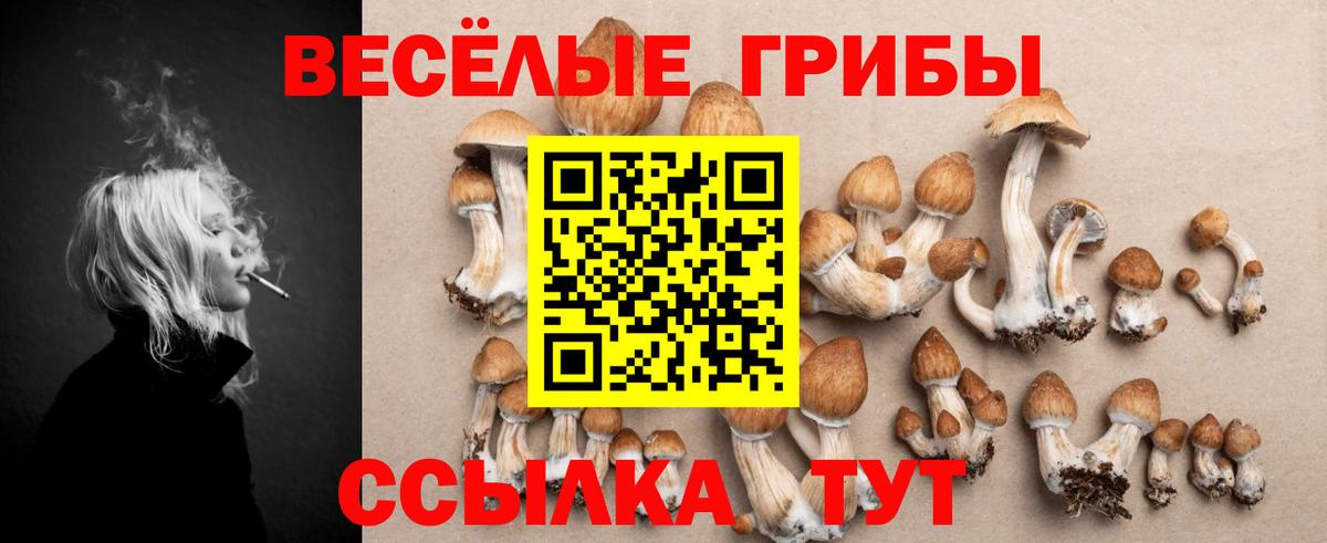 Псилоцибиновые грибы мухоморы Миасс